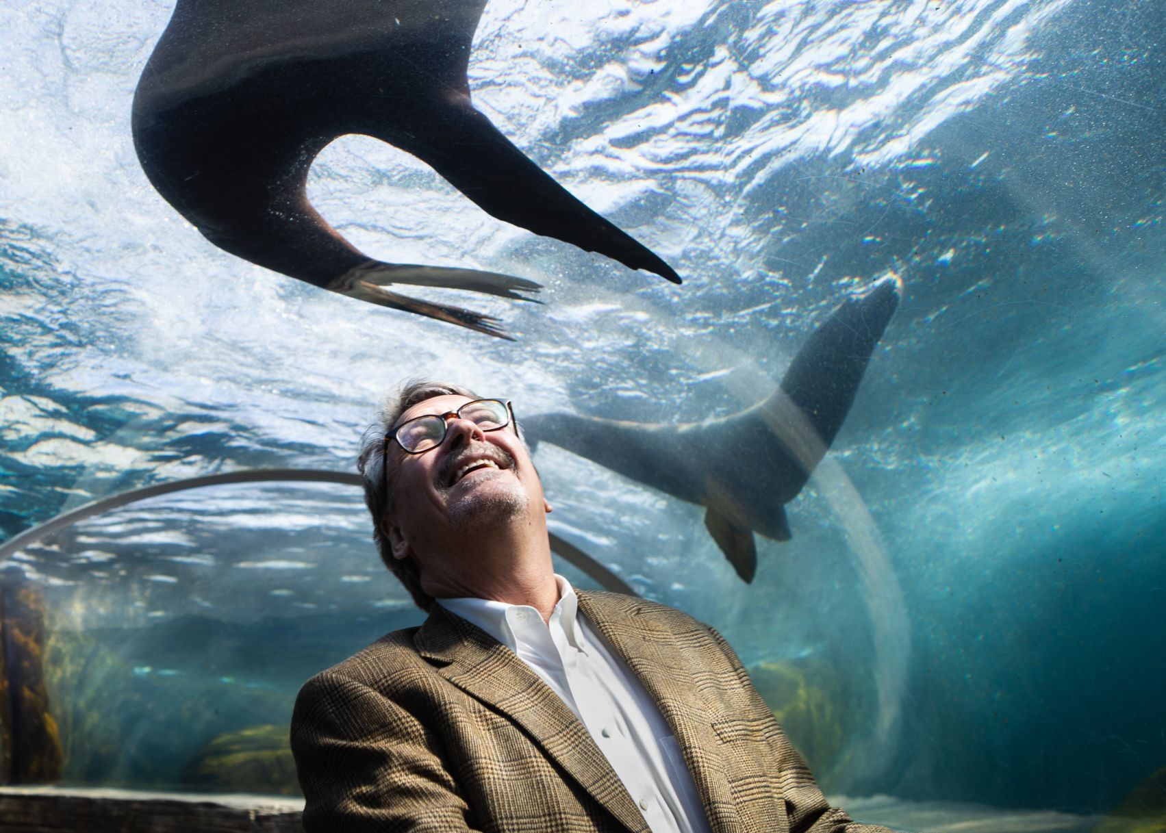 St. Louis Zoo President, Dr. Bonner, announces retirement